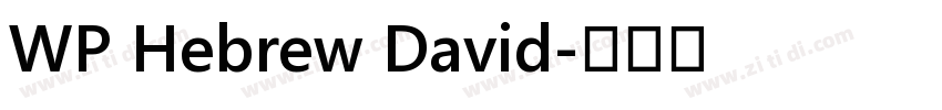 WP Hebrew David字体转换